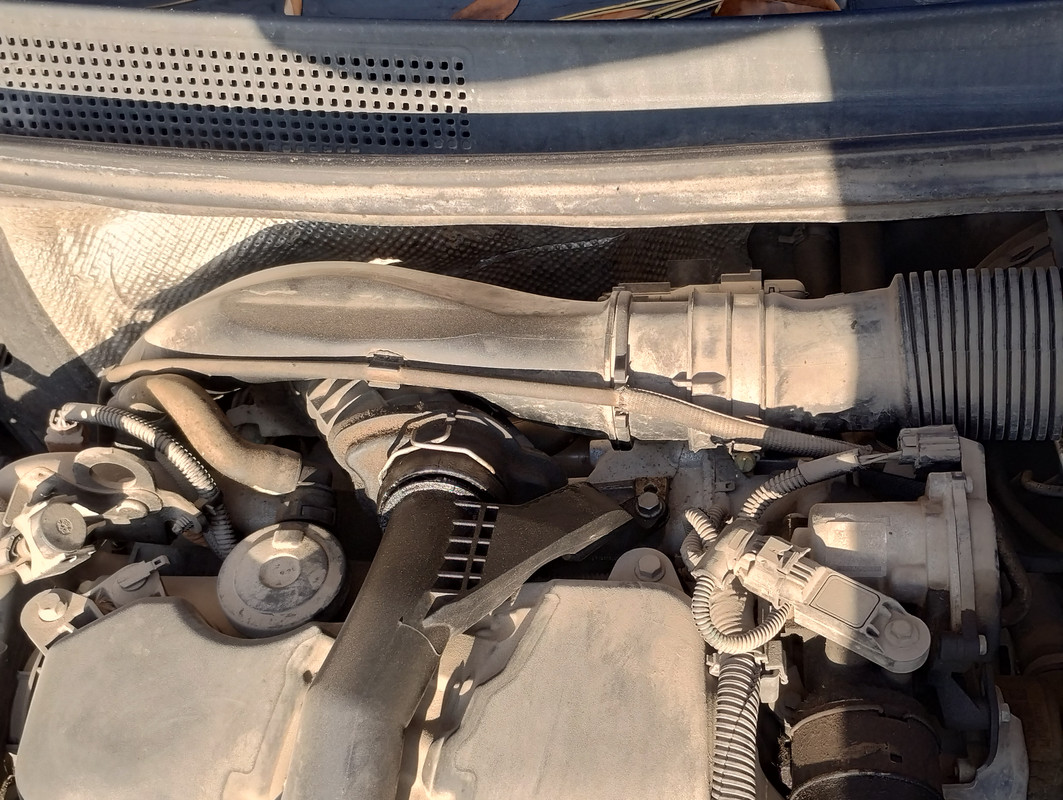 IMG 20251109 145344182 HDR