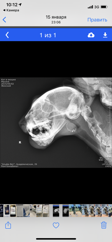 03DA8FB2-2E4C-4172-9ED9-34B29C1950BC