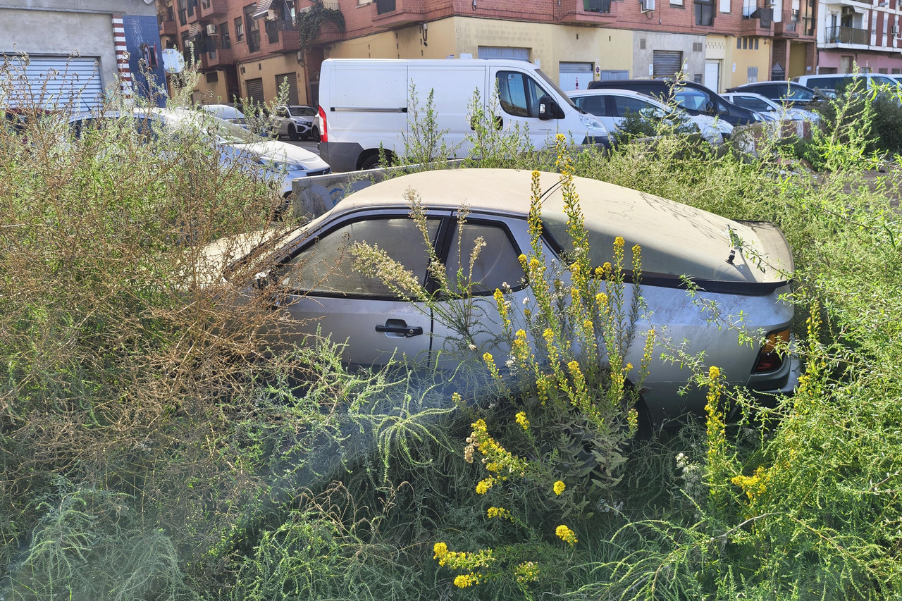 IMG-20261014-160211924-HDR-2.jpg