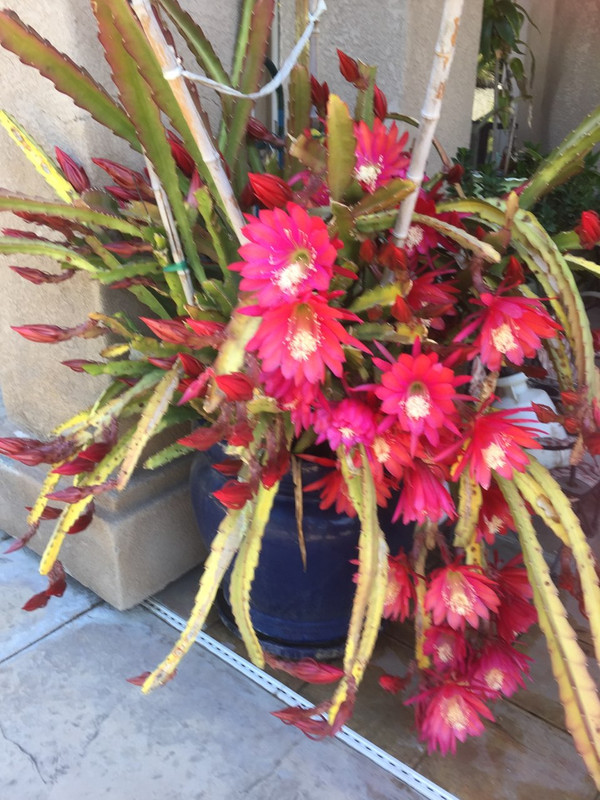 0C2C0154-F35F-473A-8D51-E1F25E48B10A