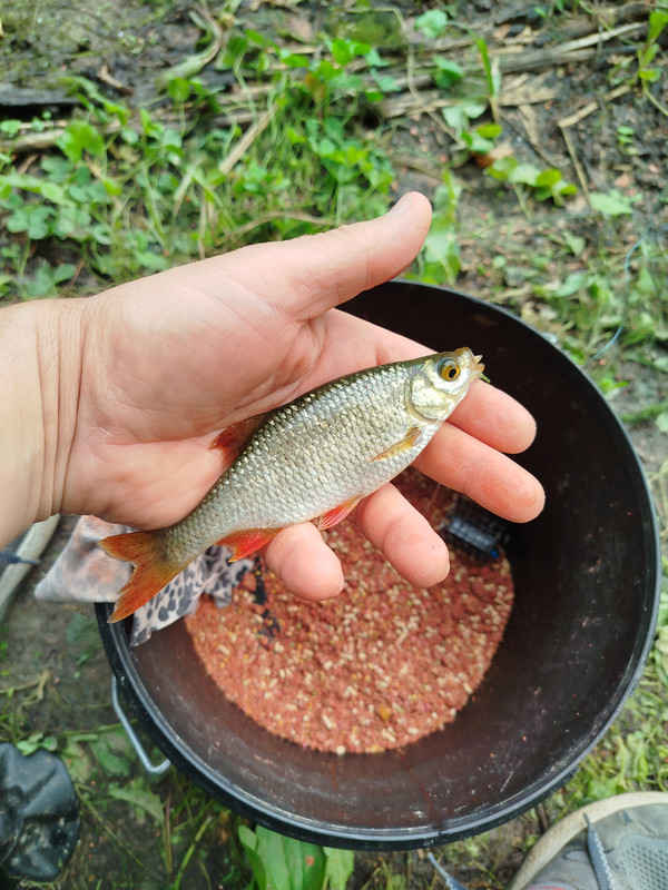 IMG 20260709 101145
