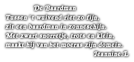 cooltext502914440237570