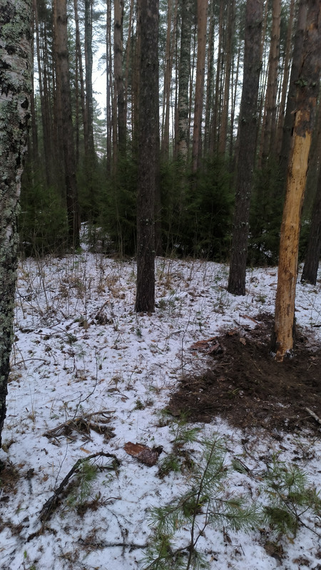 IMG 20251220 144754 211