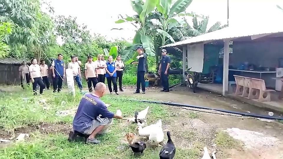 vlcsnap-2025-09-27-14h19m52s880