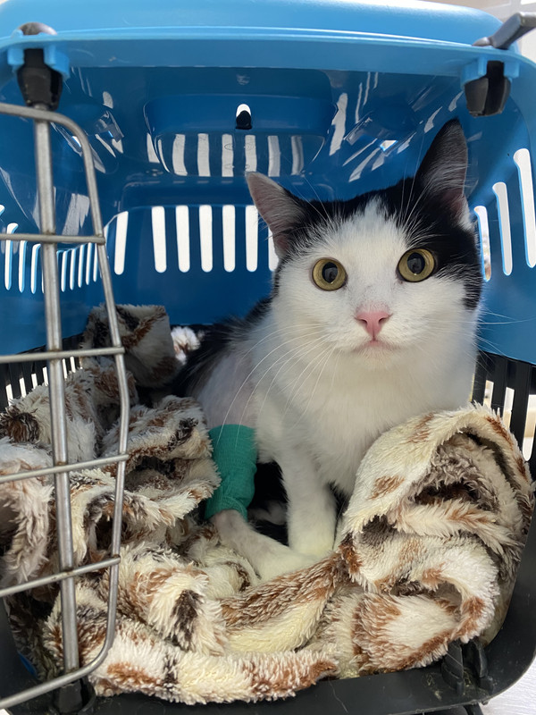 119CE484-4648-446B-B49D-29D2A9A9D566