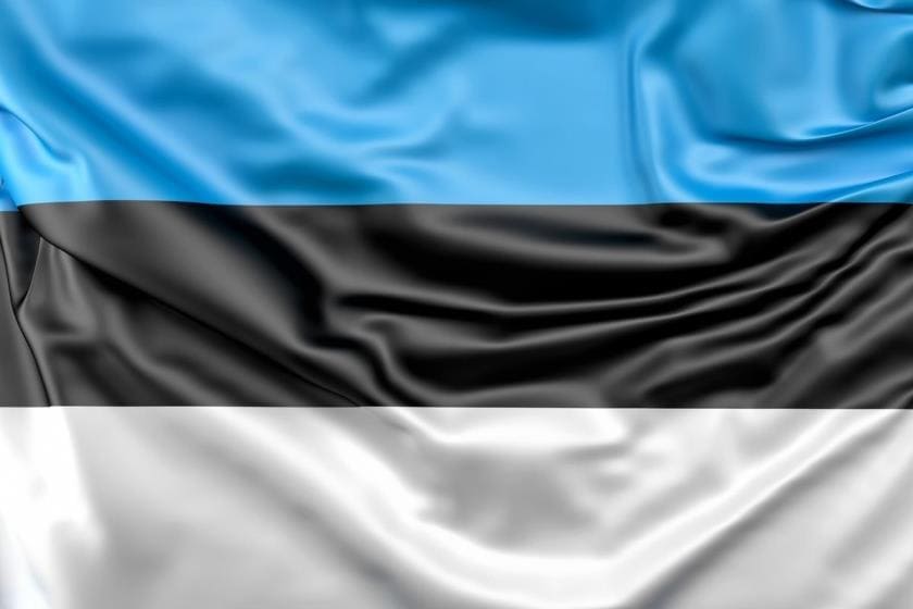Флаг Эстонии Флаг Эстонии