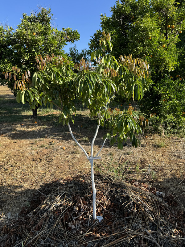 IMG_3946