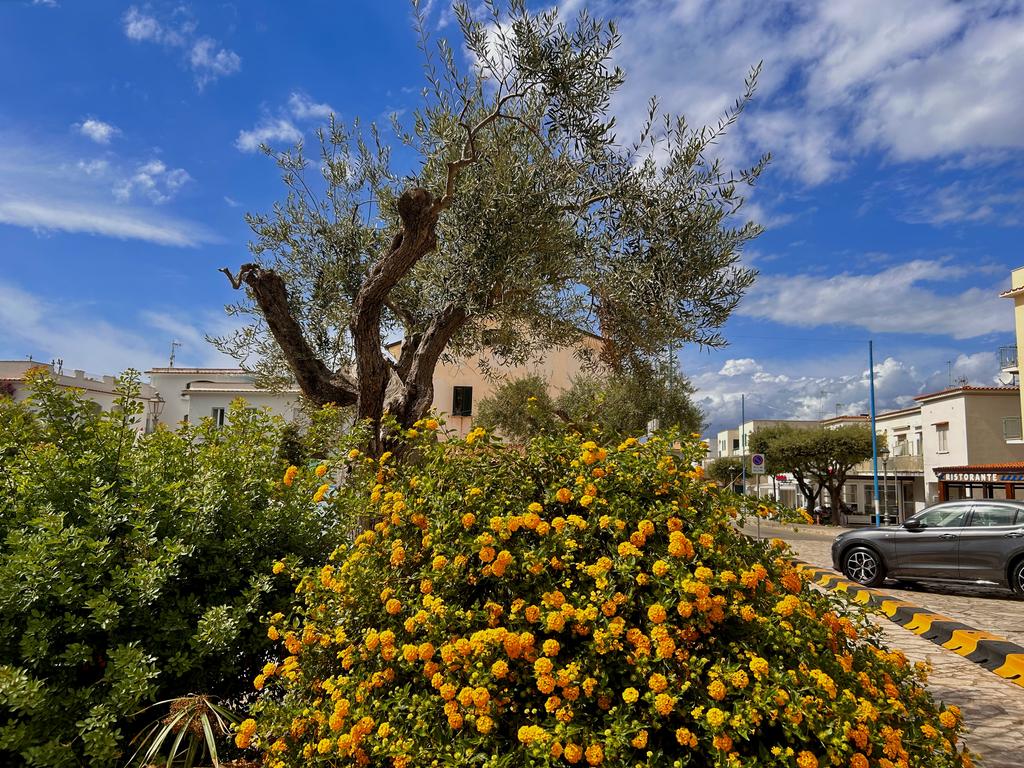 Жаркий сентябрь на побережье Тирренского моря.
