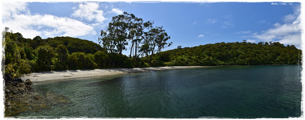 Escapadas y rutas por la Nueva Zelanda menos conocida - Blogs de Nueva Zelanda - Stewart Island:  kiwis, Coast to Coast y unos días en Oban (febrero 2021) (35)