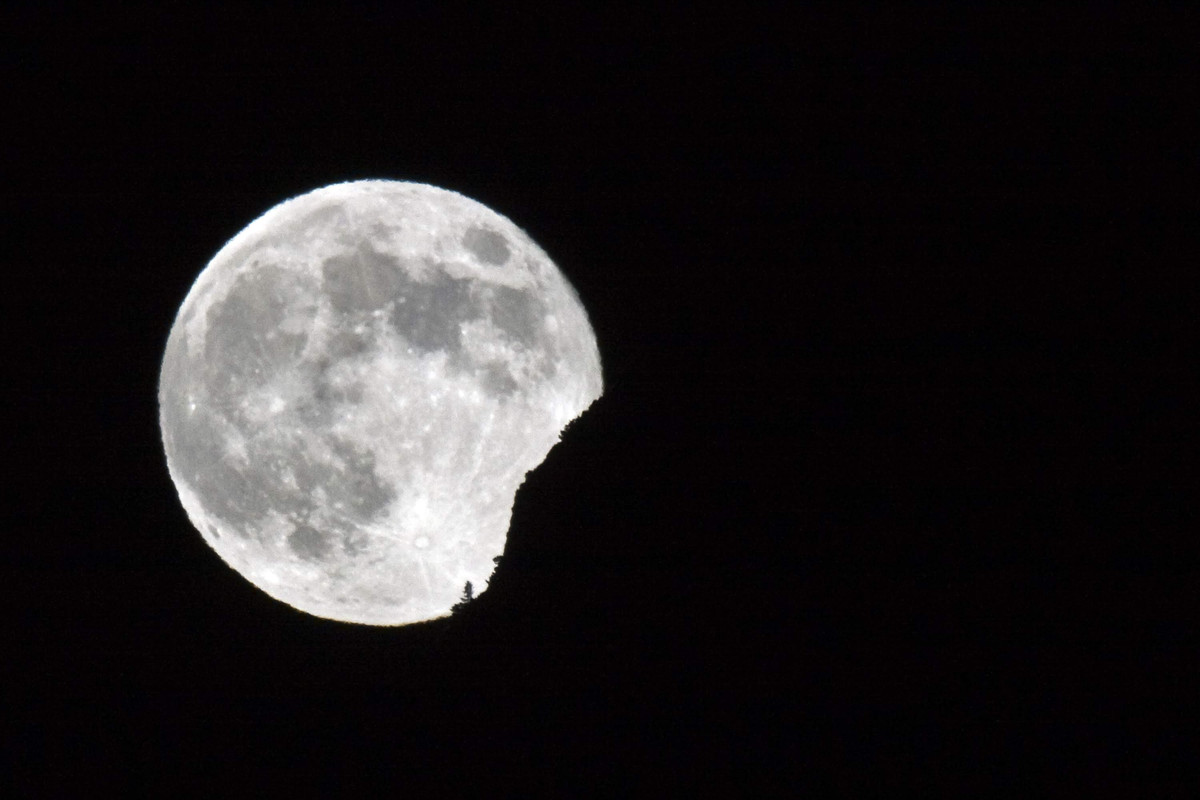 01.13 - _MG_1285 (misia)