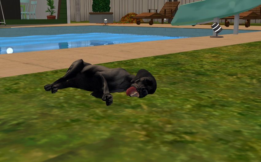 Sims2-EP9-2020-10-26-21-29-15-07