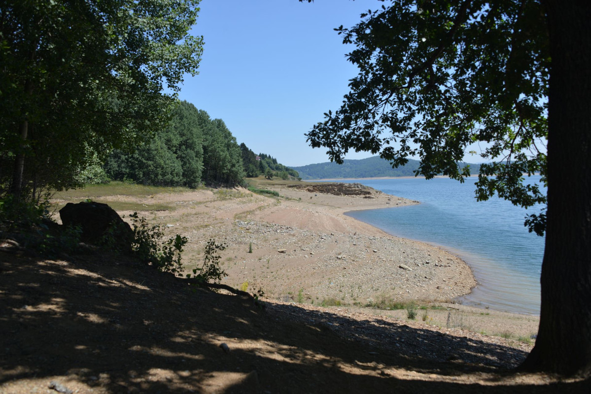 DSC-9650.jpg