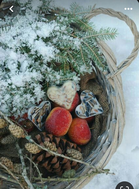 Screenshot_20231221_221223_Pinterest