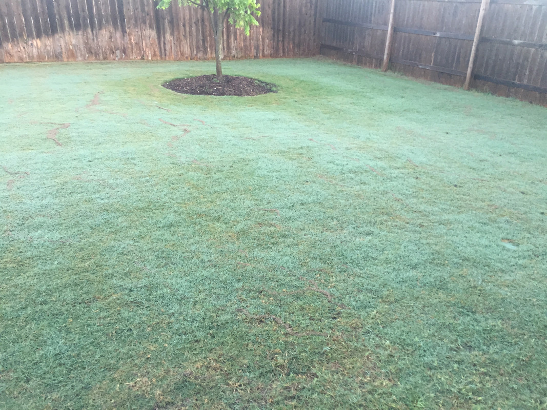 411F786C-D4FC-4967-A72A-FE357EF885F2