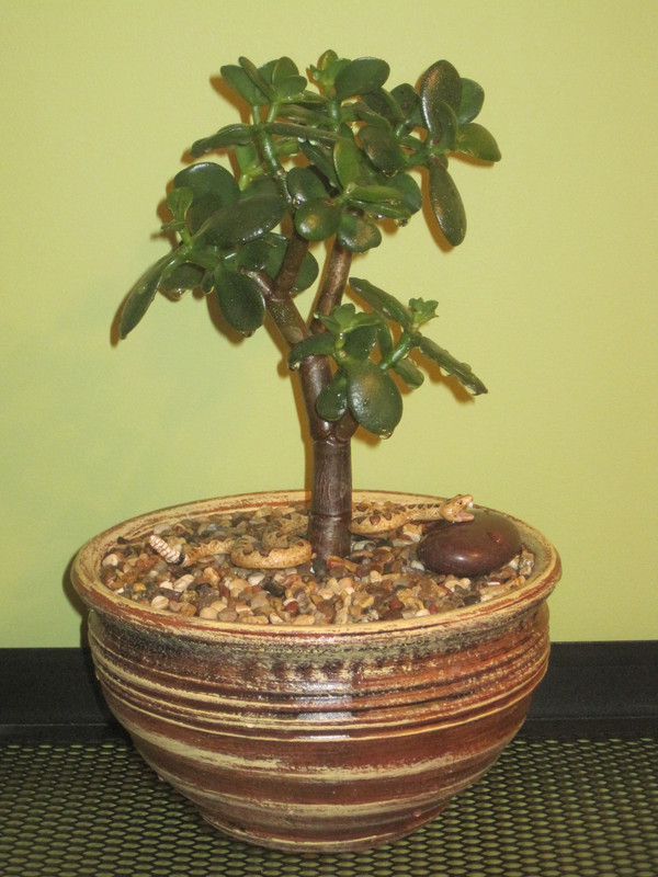 Хаммелс Сансет 09.02.2023 г