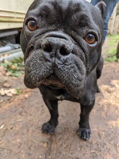 DF70D73C-A801-4144-B262-F20229A0FC6E