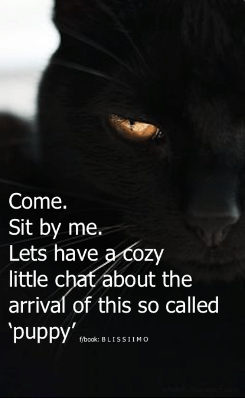 come-sit-by-me-lets-have-a-cozy-little-chat-8530090.png