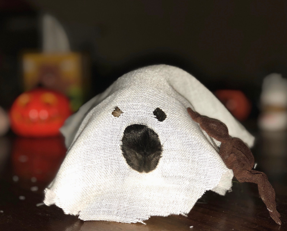 9781AB3F-EDBE-4303-BBD0-CDD47648433F