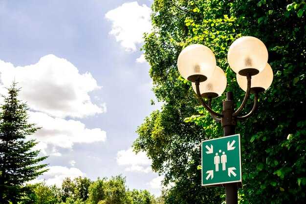 Зонирование территории для удобства гостей