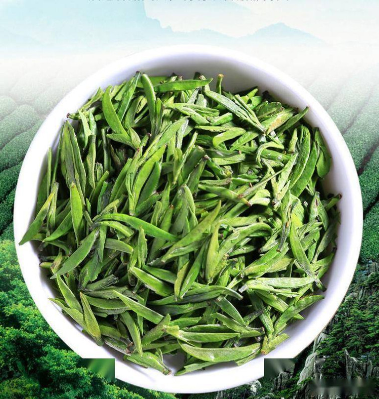 Jinzhai Cuimei Tea: The Emerald Eyebrow of China’s Tea Heartland