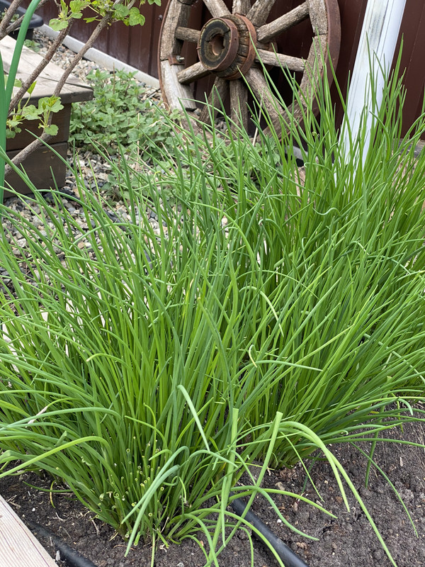 392E81A8-ACD6-4A28-B238-2AAD1DF30775