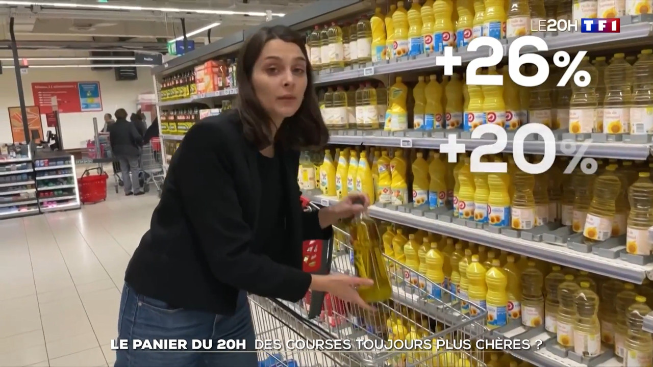 2023-01-11_20_00_TF1_Le-20h.mp4_snapshot_00.29.35.294