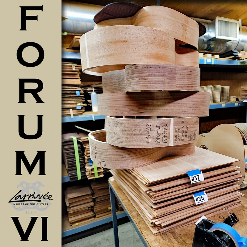 Larrive-Fourm-VI-8.jpg