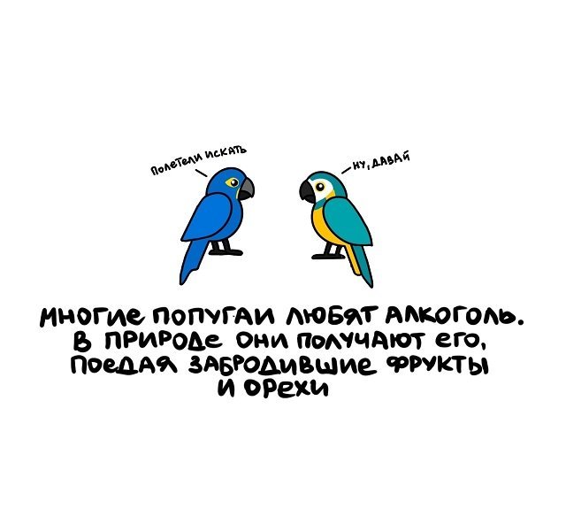 dosuga-net-interesnye-fakty-o-raznom-15-