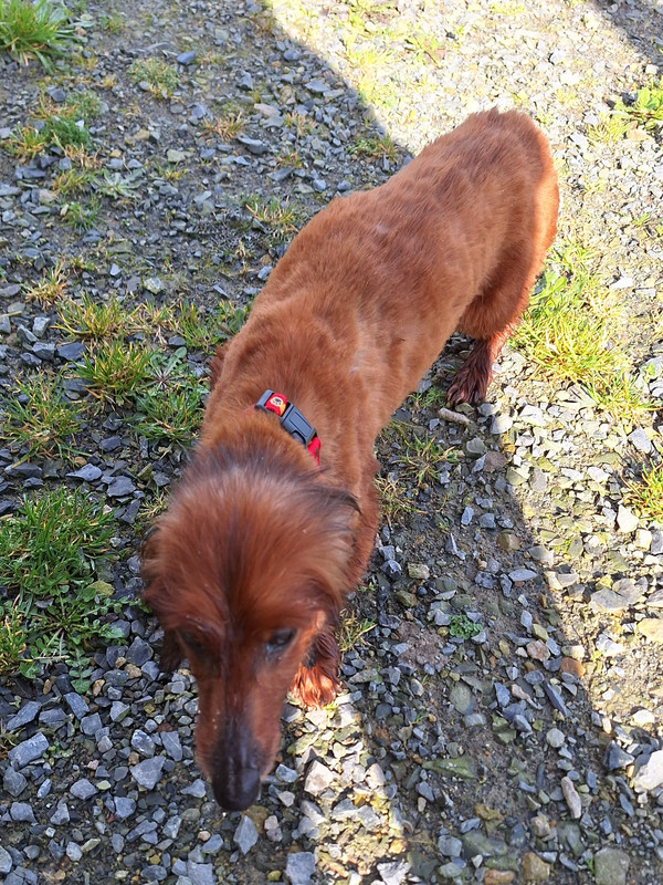 [Image: 20240314-105227.jpg]