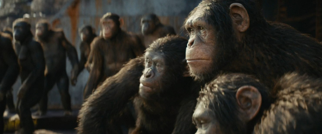 Il regno del pianeta delle scimmie (2024) .mkv 720p WEB-DL DDP 5.1 iTA ENG H264 - FHC.mkv_snapshot_0