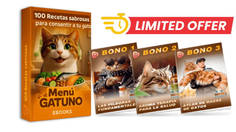 Contenido del paquete