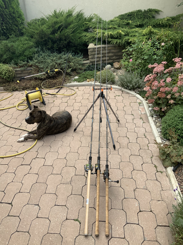 8E3A9602-F0B4-4A54-94D9-6DCC0384426B