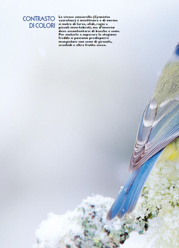 Foc Wil - Mar 2024 (9)