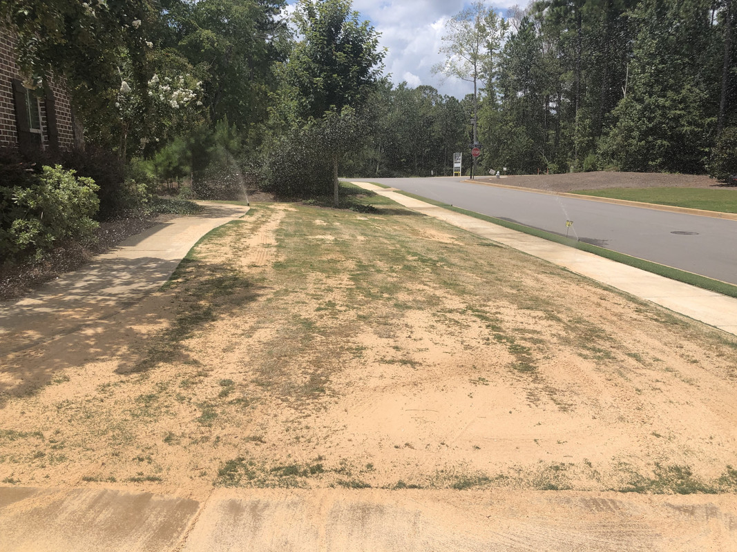 1F421D51-3288-4A68-A482-C0062DD4F434