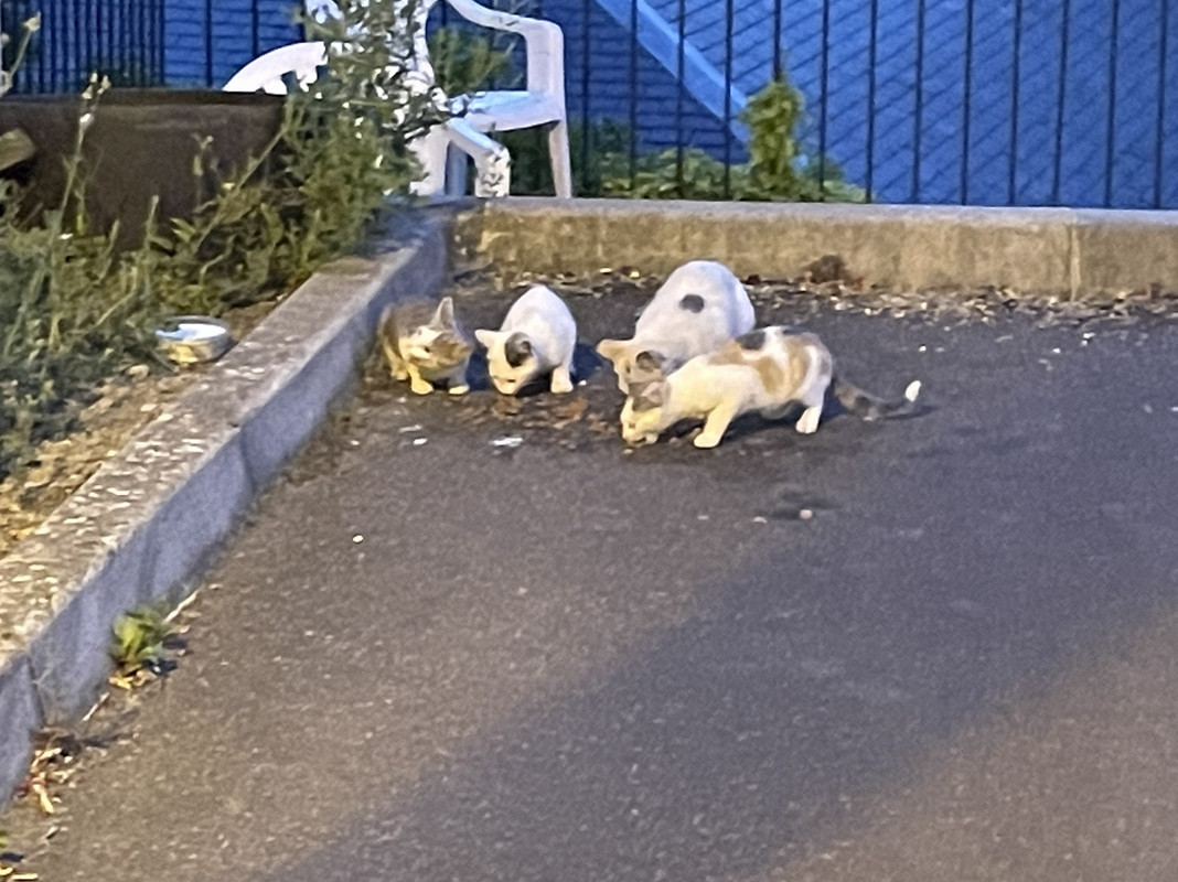 26568B5C-FE06-45A2-A090-18074708728A