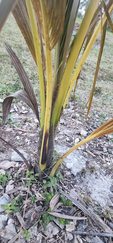 att f DZG M41Rj Ljmd Uln5Zc4YBF5cx St4e5Ly Bw SL pnr U