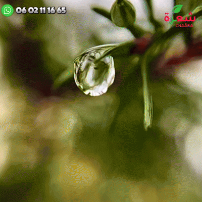 إعلان