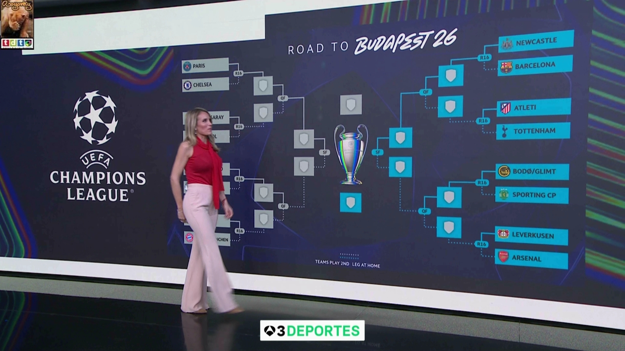 angierojotetones A3 oso56 (10)