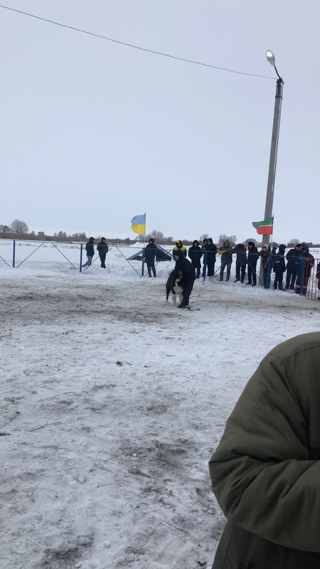 85EDBF7C-2727-4151-B836-2EA57494AF07