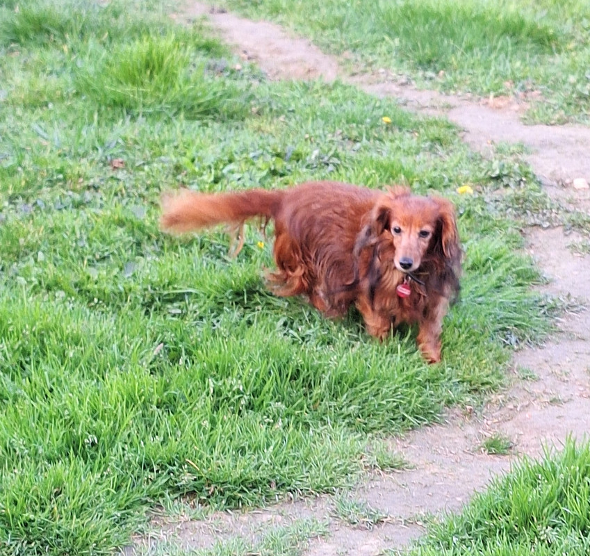 [Image: 20240324-181204.jpg]