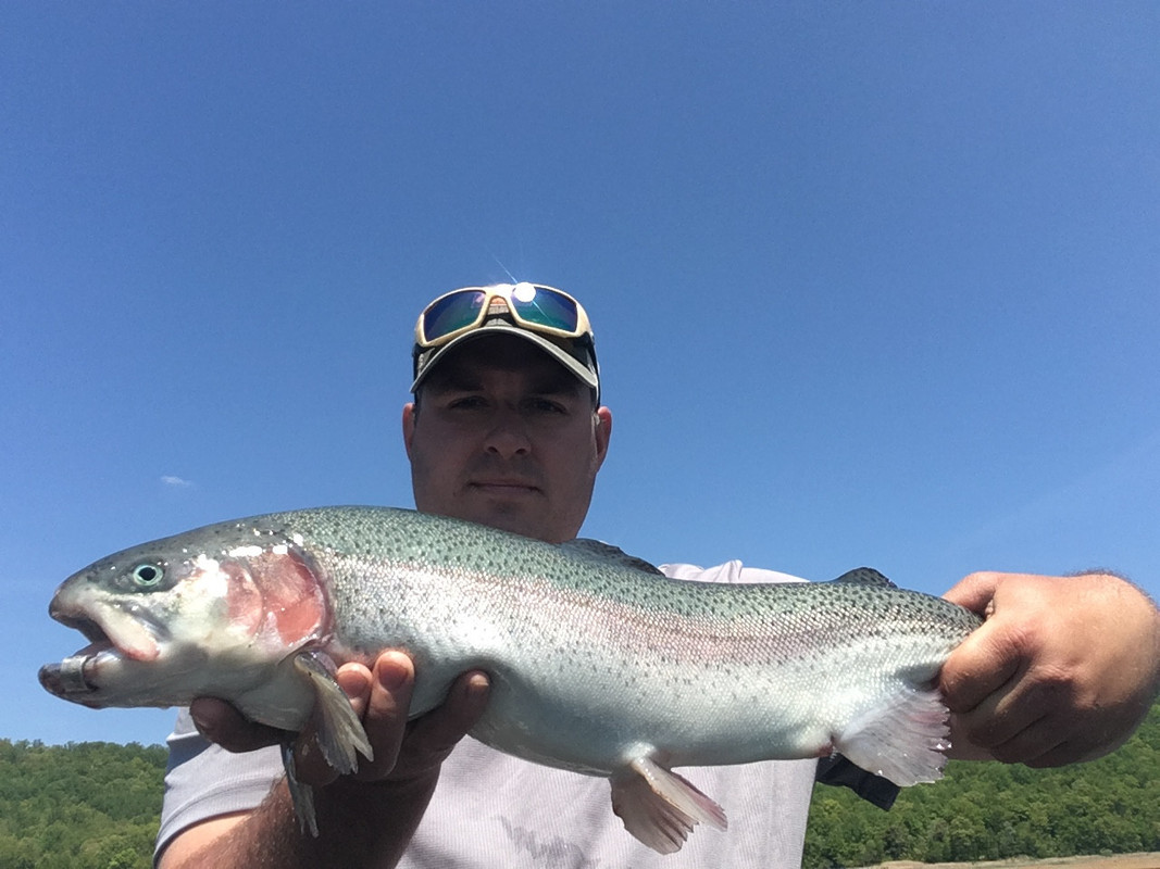 3B1278EE-62F7-415C-8AF1-3B97642EDE60