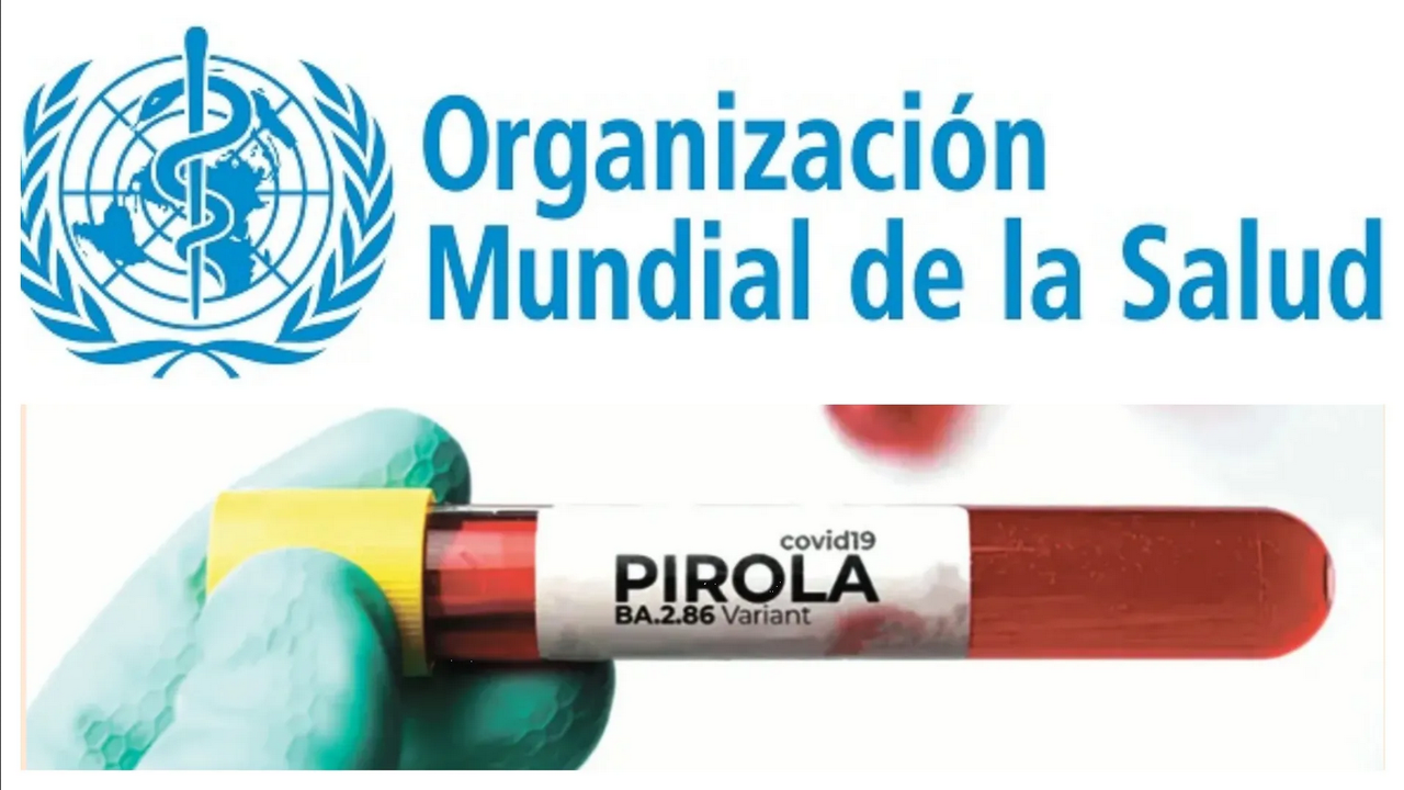 OMS afirma que variante de Covid-19: Pirola no es amenaza para la salúd pública