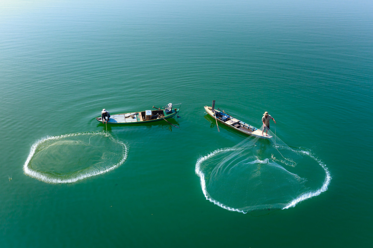 green-fishing.jpg