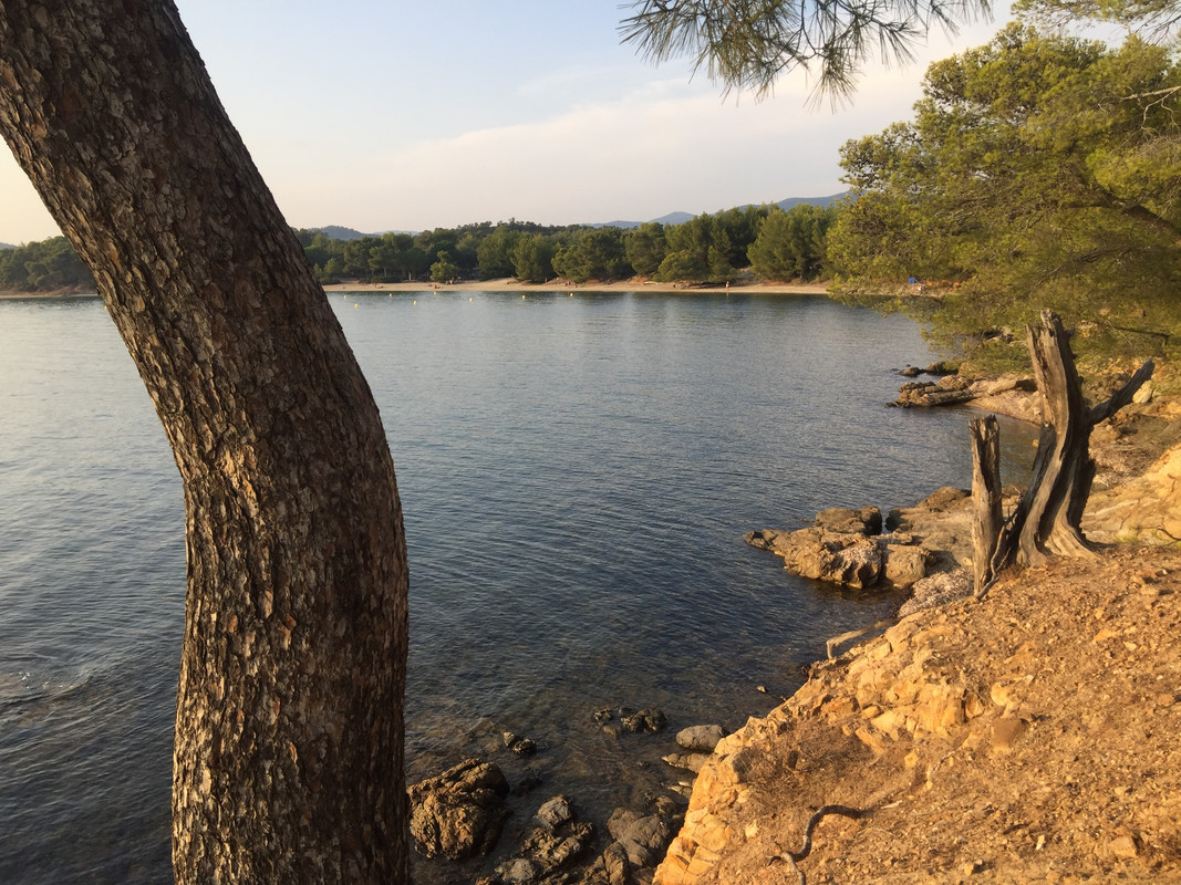 5262344E-80A0-40E3-8CE0-DE9E0C0A885E