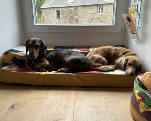 [Image: IMG-1476.jpg]