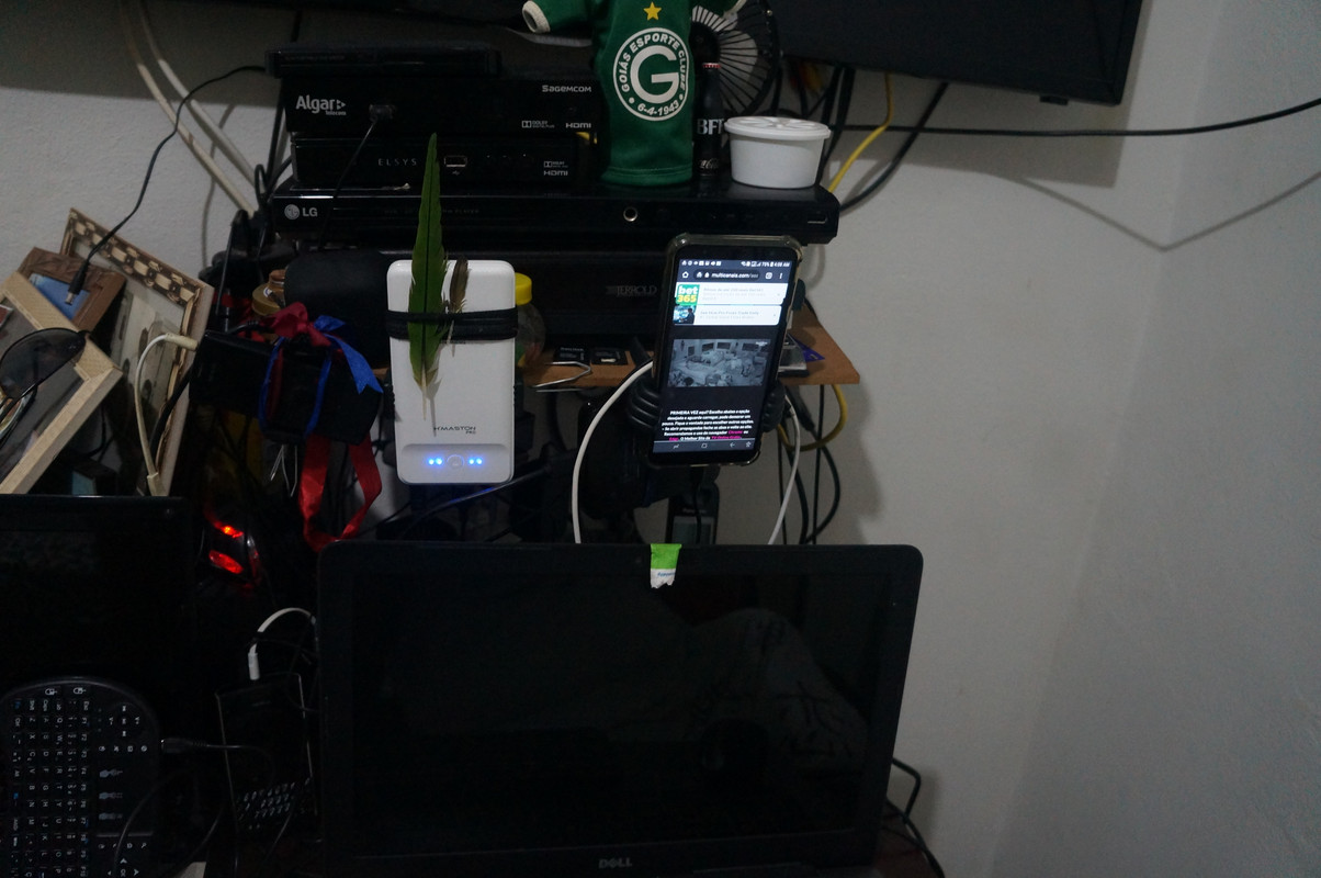 cannon1973jacqstefano1985