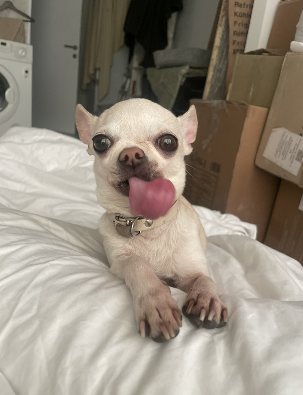 4EC1C361-5884-4268-A388-0DC52A2ADED2