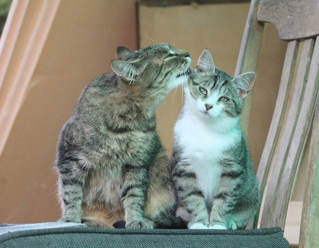 imgonline-com-ua-Resize-qgRZ040Nwi