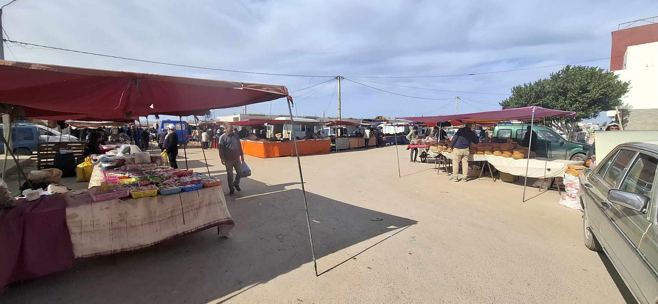 633207677-1585676579383135-659307514614807422-n