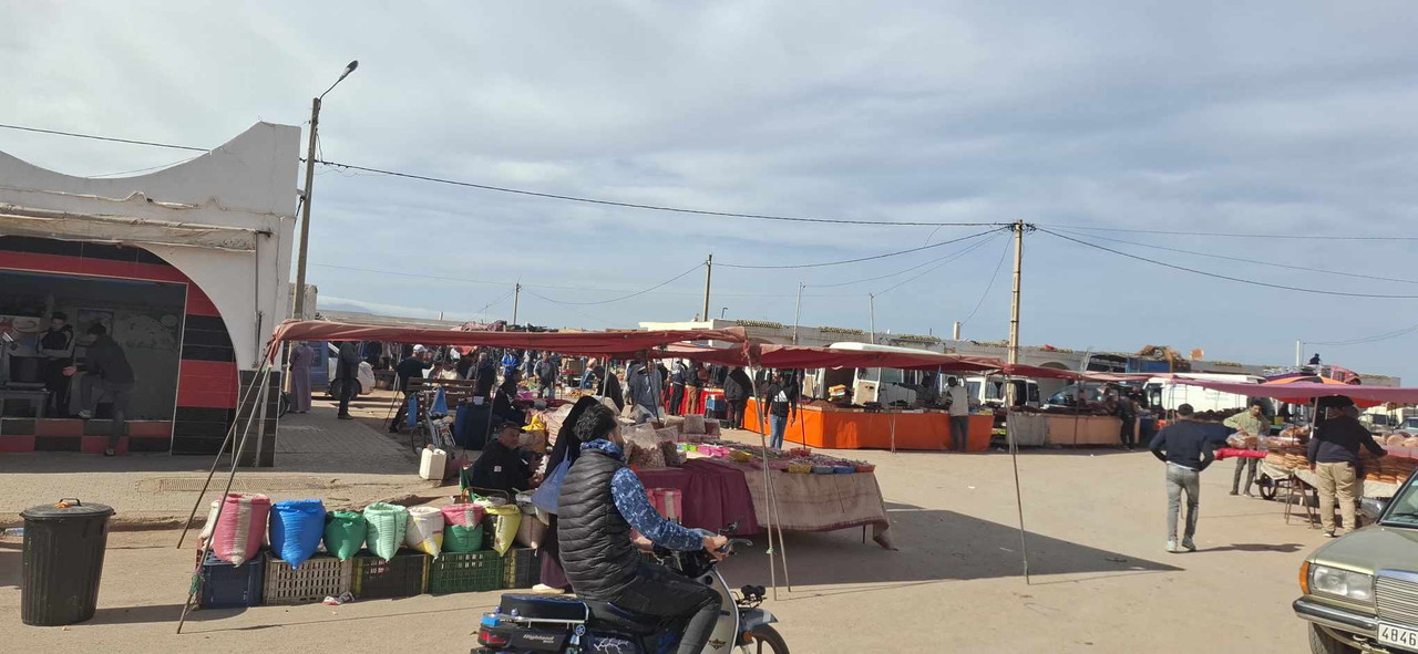 631964634-1632900657897809-446153491685069154-n